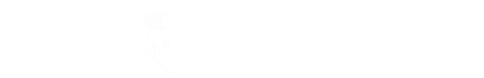 Logo da Pousada